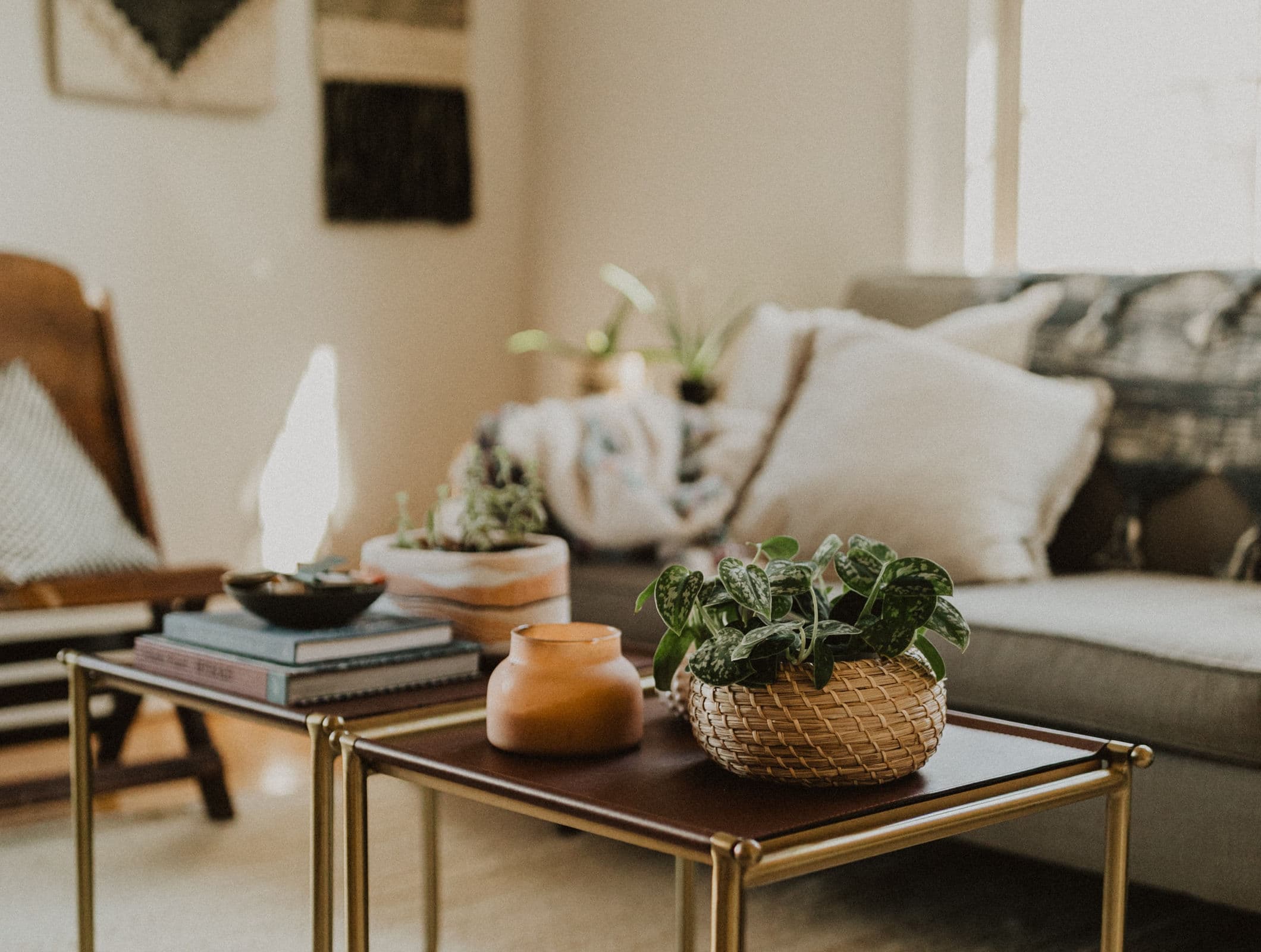 Home & Garden